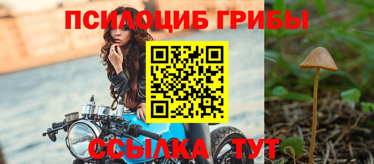 Галлюциногенные грибы прущие грибы  Вход с VPN  Северобайкальск 